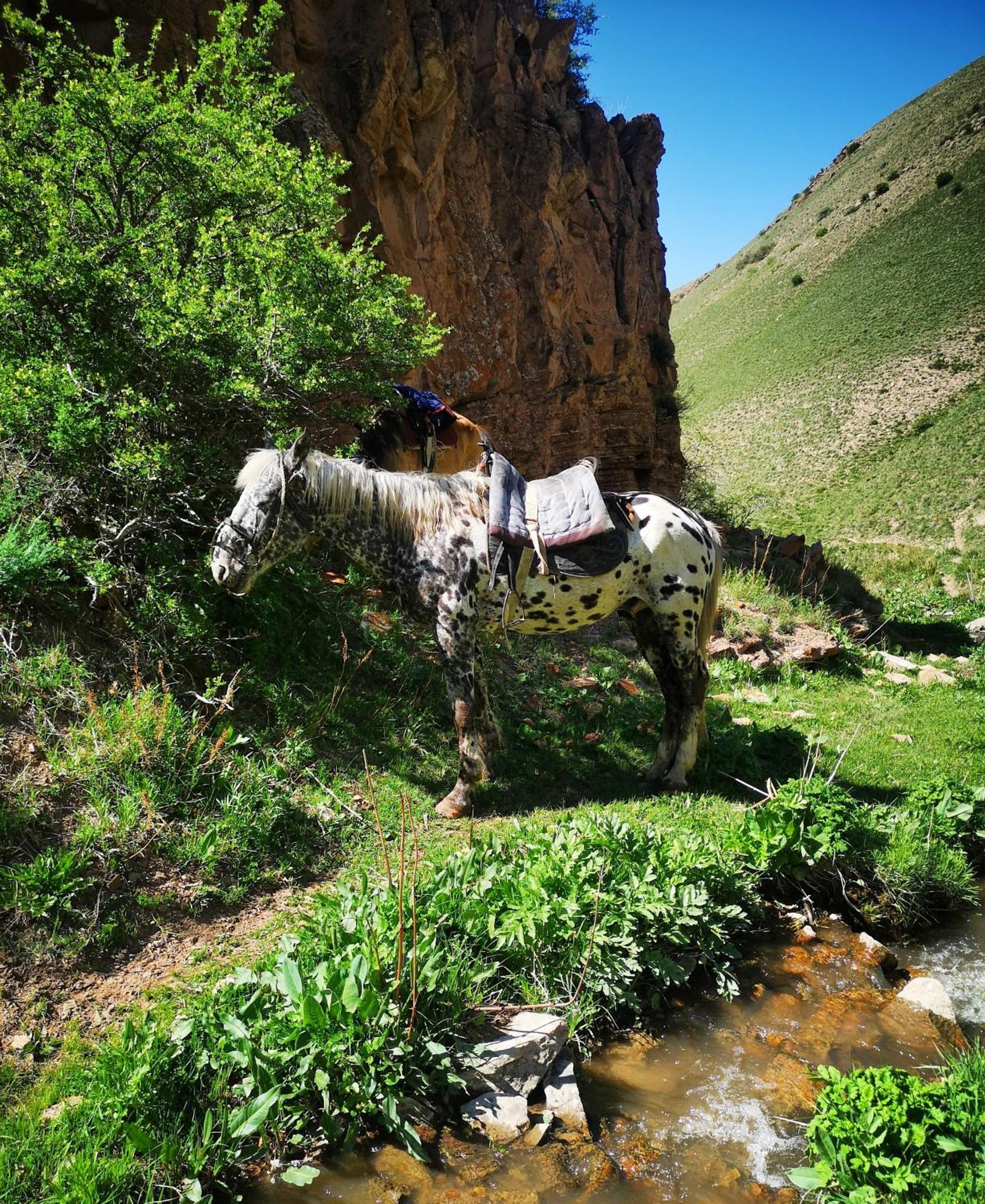 Guest House Bereke In Kyzart Village Bagysh 외부 사진